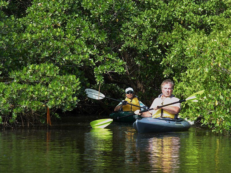 File:Kayak Paddle 4.28 (39) (26172879193).jpg