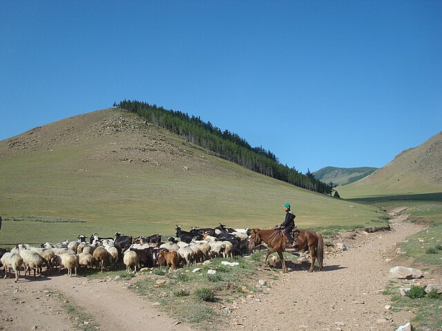 Mongol pastoralist in the Khövsgöl Province