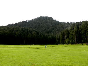 Khajjiar view