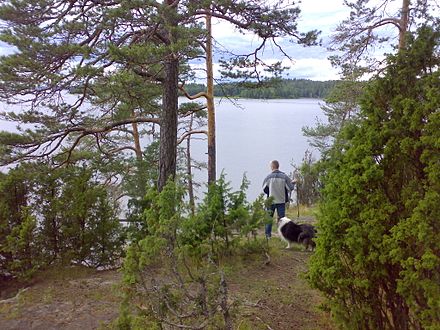 Scenic Lohjanjärvi has the Karkali natural park, recreational areas and tens of public swimming beaches