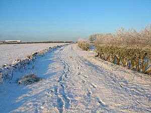 Access lane to Hill of Beith Castle ruins Lane to Hill of Beith Castle.JPG