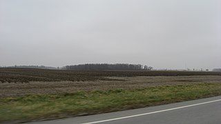 <span class="mw-page-title-main">Liberty Township, Hardin County, Ohio</span> Township in Ohio, United States