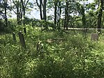 Lientz Cemetery on Memorial Day 2018.jpg