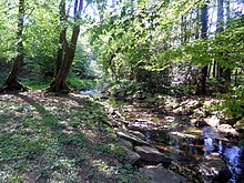 Der Lochbach in Solingen-Wald