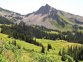 Lost Peak, Olympic Mountains.jpg