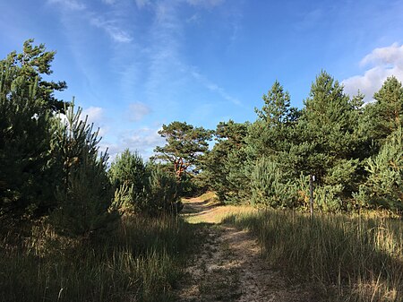 Lubminer Heide Küstenwanderweg