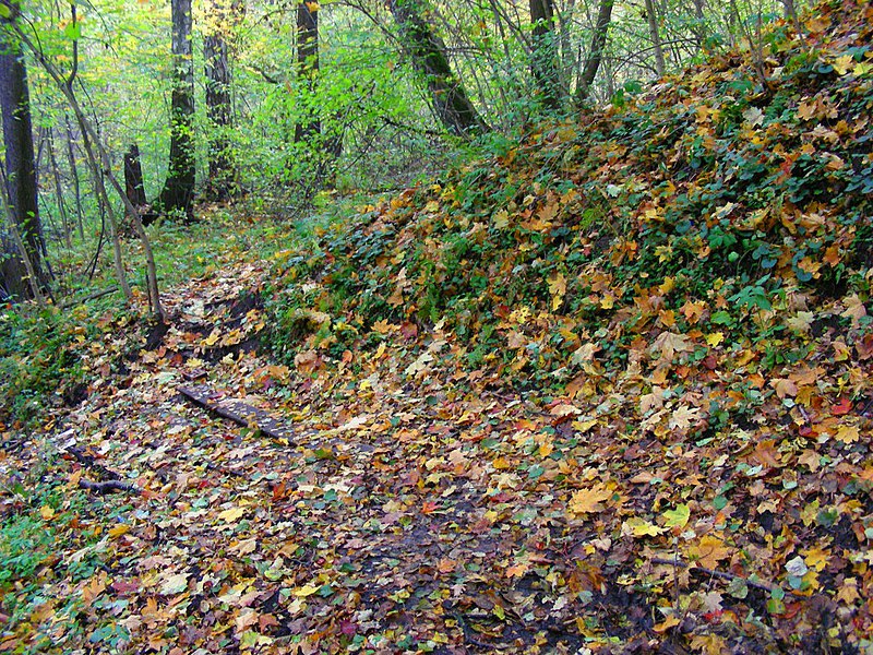 File:Lyuberetsky District, Moscow Oblast, Russia - panoramio (19).jpg