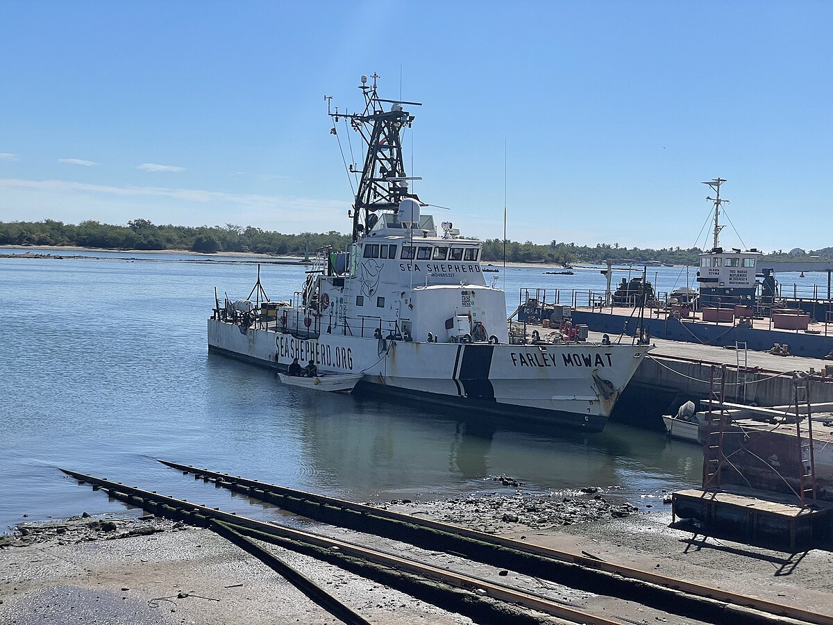 Sea Shepherd on anti-poacher patrol in Tuvalu