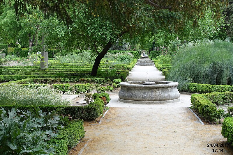 File:Madrid- Botanical Garden (34548885705).jpg