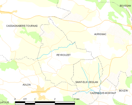 File:Map commune FR insee code 31415.png