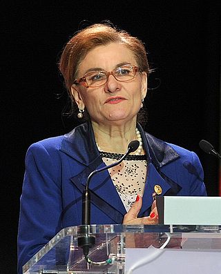 <span class="mw-page-title-main">Maria Grapini</span> Romanian politician (born 1954)