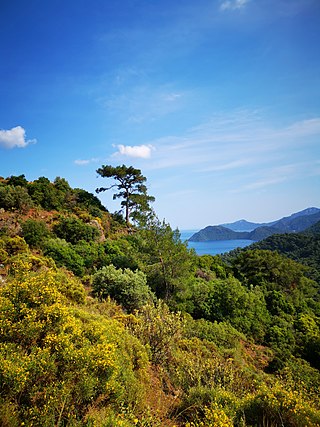 <span class="mw-page-title-main">Marmaris National Park</span> National park in Muğla, Turkey