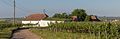 * Nomination Winemaker alley with press houses and wine cellars, Maulavern In Zellerndorf, Lower Austria (Weinviertel) by Kellergassen Niederösterreich 2016 --Hubertl 21:25, 13 June 2016 (UTC) * Promotion Good quality. --Johann Jaritz 02:30, 14 June 2016 (UTC)