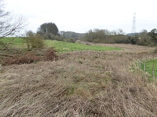 Birch Spinney and Mawsley Marsh