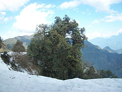 Aerial view dari Mayodia Lulus