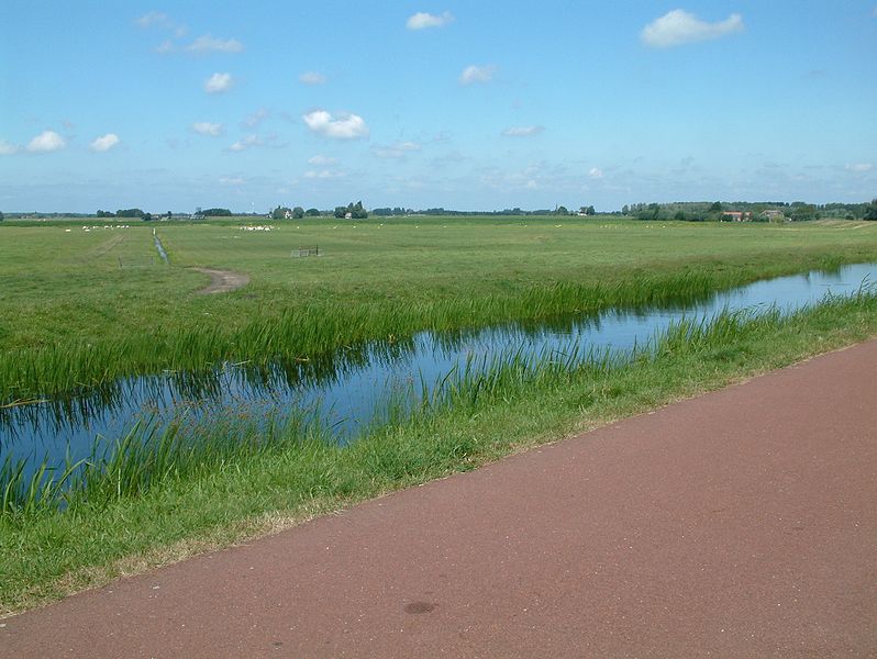 File:Meerpolder vanaf het Meerpad (09).JPG