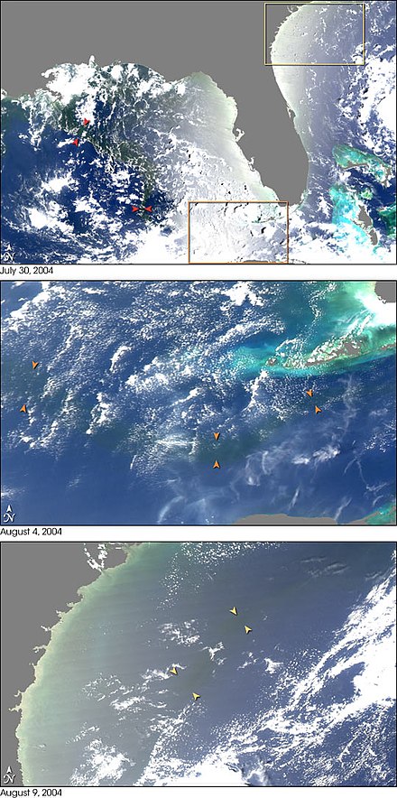 Sequence of NASA MODIS images showing the outflow of fresh water from the Mississippi (arrows) into the Gulf of Mexico (2004)