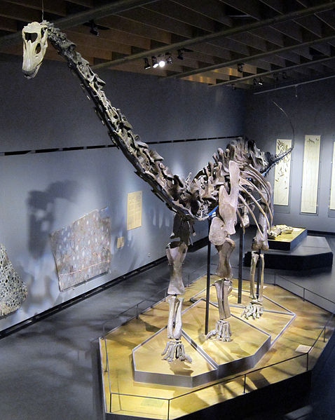 File:Misty Diplodocus.jpg