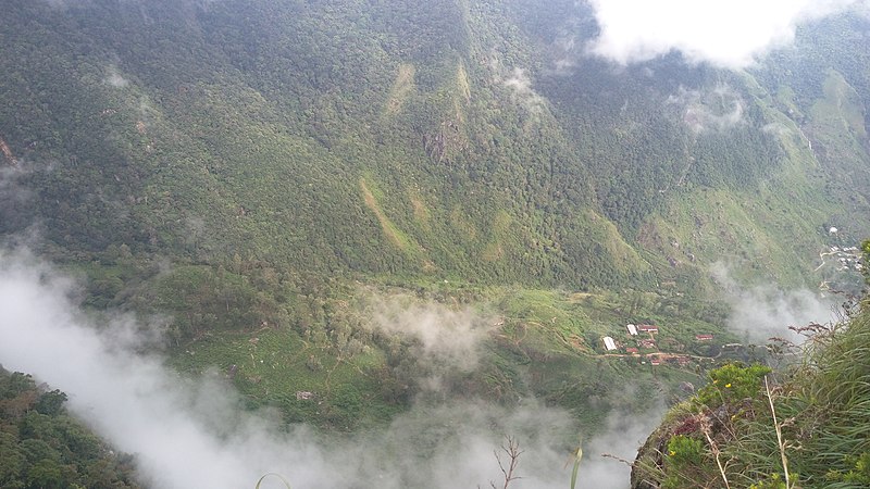 File:Misty Worlds end in horton plains.jpg