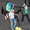 MonmouthPark-Haskell2017-McCraken.jpg