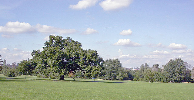 Across Cannon Hill Common to Wimbledon.