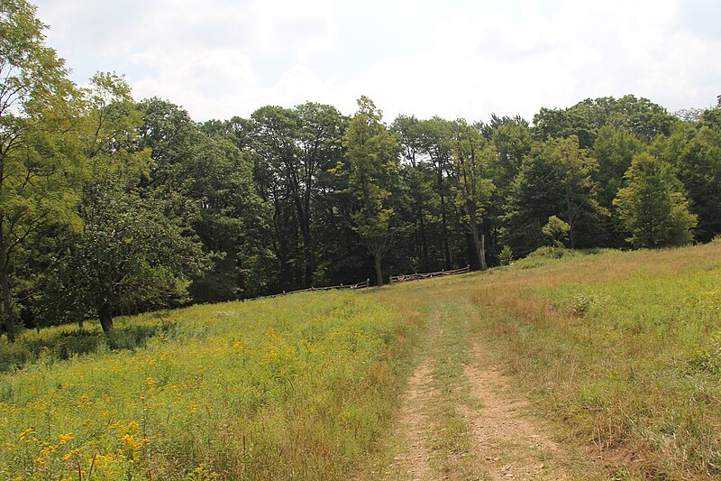 File:Mountain Road (Johnstown Highway) - panoramio (35).jpg