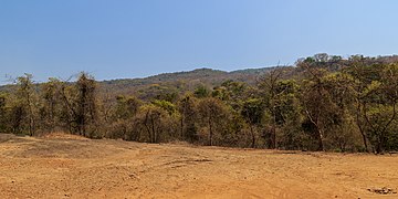 Sanjay Gandhi National Park