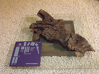 <i>Losillasaurus</i> genus of reptiles (fossil)