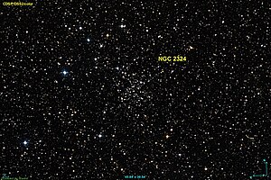 NGC 2324 DSS.jpg