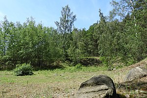 former sand pit in the NSG Schwarzer Berg