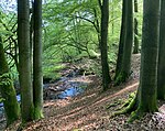 Naturschutzgebiet Südholz