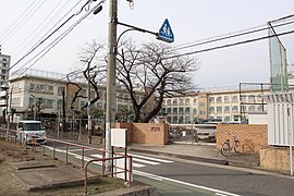 Nagoya City Makino elementary school