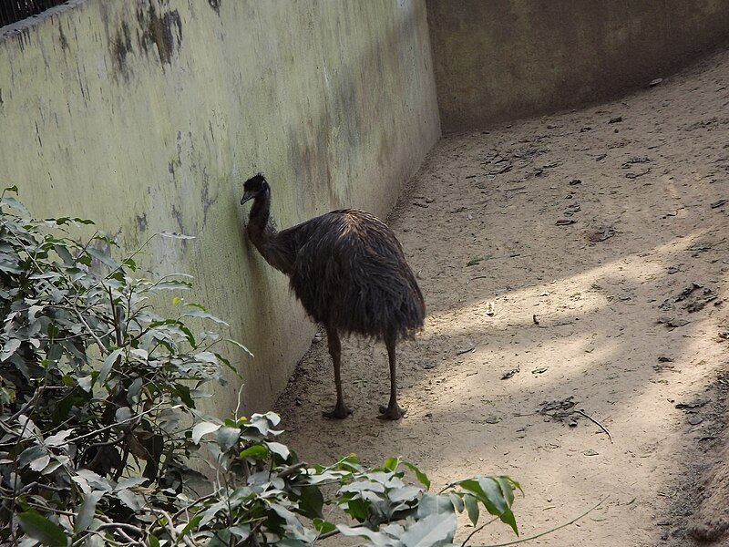 File:National Zoological Park 510.JPG