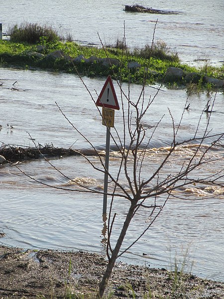 File:Netofa Valley Flood, Israel 10.jpg