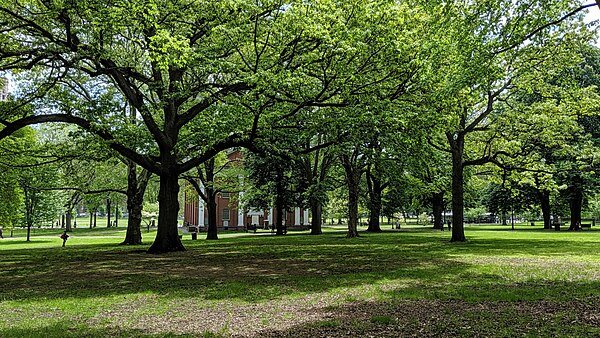 Image: New Haven Green with Center Church