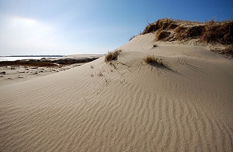 Parc national de l'Isthme de Courlande (Lituanie)