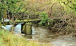 Old footbridge, Donaghcloney (geograph 3260679).jpg