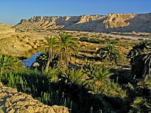 Oasis in an Oman desert landscape Oman-Oasis.jpg