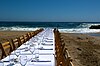 Outstanding in the Field table setting on beach.jpg