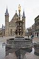 Overzicht van de fontein, de Ridderzaal op de achtergond - 's-Gravenhage - 20413502 - RCE.jpg