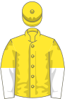 Yellow, white and yellow halved sleeves