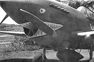 A Curtiss P-40 Warhawk of the 29th Fighter Squadron at Madden Army Airfield in May 1942.