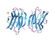 PDB 1w6m EBI.jpg