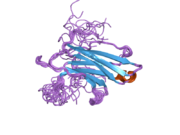 2dmg: Solution structure of the third C2 domain of KIAA1228 protein