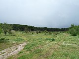 Paisaje de El Pardo (Madrid).