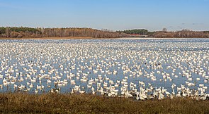 Parc du réservoir Beaudet.jpg