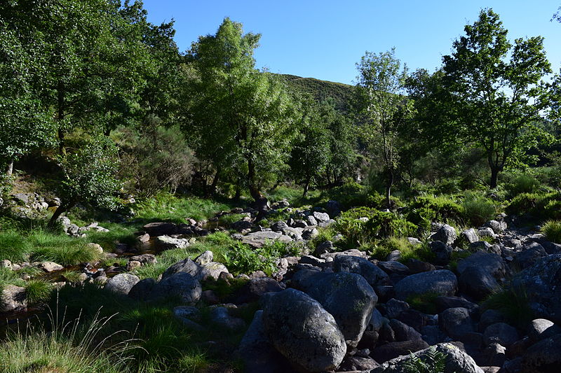 File:Parque Natural do Alvão 12.JPG