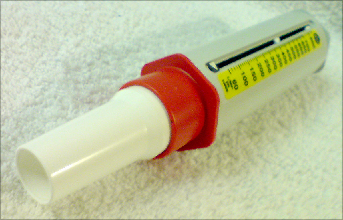 Asthmamd Peak Flow Meter Chart