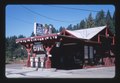 Peg House Gas, Route 101, Leggett, California LCCN2017707610.tif