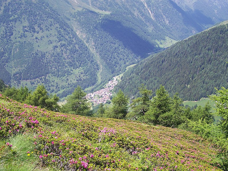 File:Pezzo dal sentiero n° 2 tra i rododendri - panoramio.jpg